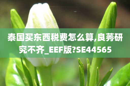 泰国买东西税费怎么算,良莠研究不齐_EEF版?SE44565