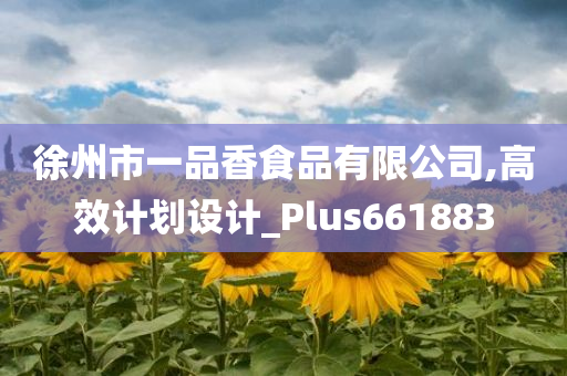 徐州市一品香食品有限公司,高效计划设计_Plus661883