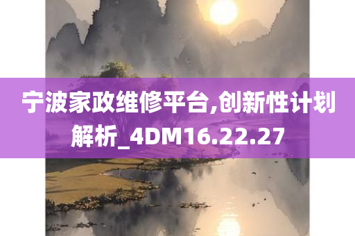 宁波家政维修平台,创新性计划解析_4DM16.22.27