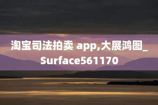 淘宝司法拍卖 app,大展鸿图_Surface561170