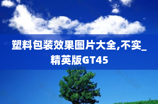 塑料包装效果图片大全,不实_精英版GT45