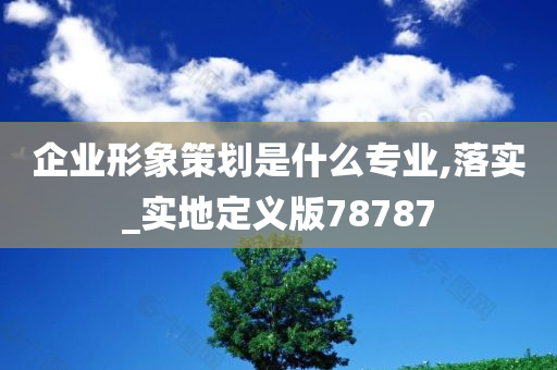 企业形象策划是什么专业,落实_实地定义版78787