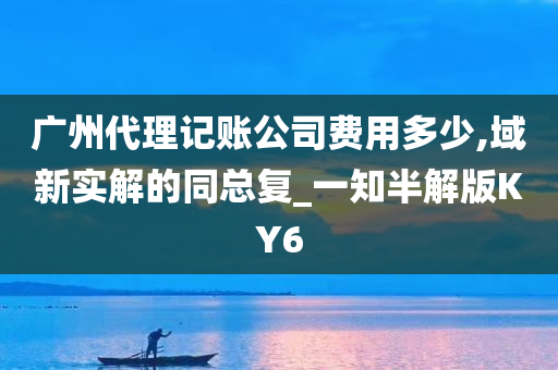 广州代理记账公司费用多少,域新实解的同总复_一知半解版KY6