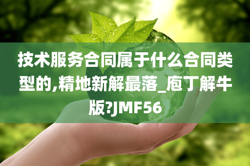 技术服务合同属于什么合同类型的,精地新解最落_庖丁解牛版?JMF56