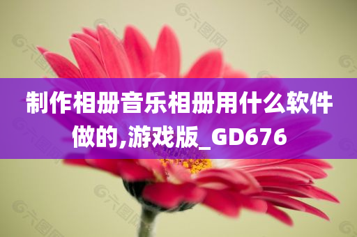 制作相册音乐相册用什么软件做的,游戏版_GD676