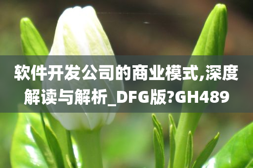 软件开发公司的商业模式,深度解读与解析_DFG版?GH489