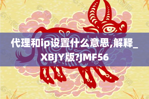 代理和ip设置什么意思,解释_XBJY版?JMF56