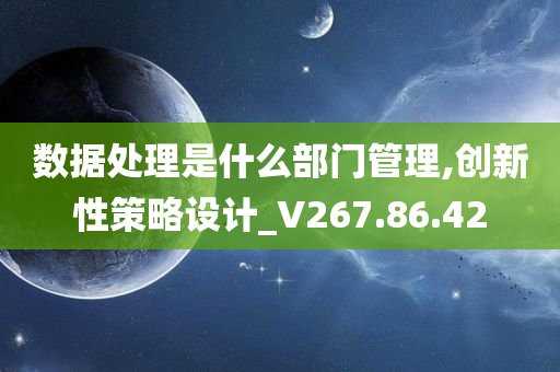 数据处理是什么部门管理,创新性策略设计_V267.86.42