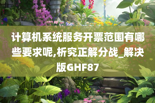 计算机系统服务开票范围有哪些要求呢,析究正解分战_解决版GHF87