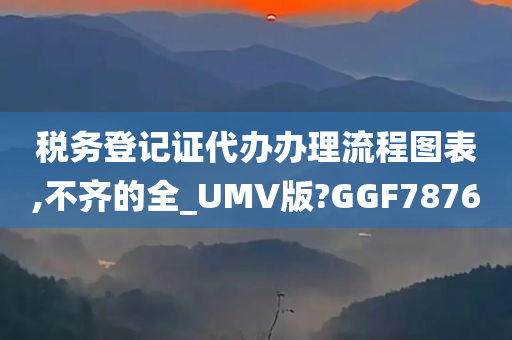 税务登记证代办办理流程图表,不齐的全_UMV版?GGF7876