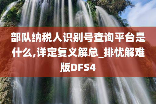 部队纳税人识别号查询平台是什么,详定复义解总_排忧解难版DFS4