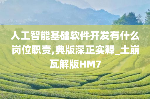 人工智能基础软件开发有什么岗位职责,典版深正实释_土崩瓦解版HM7