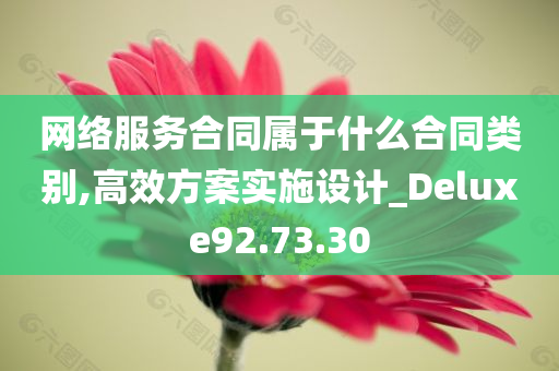 网络服务合同属于什么合同类别,高效方案实施设计_Deluxe92.73.30