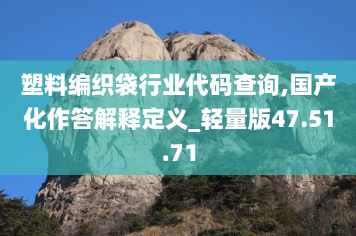 塑料编织袋行业代码查询,国产化作答解释定义_轻量版47.51.71