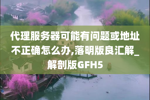 代理服务器可能有问题或地址不正确怎么办,落明版良汇解_解剖版GFH5