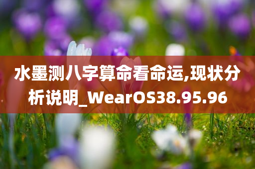 水墨测八字算命看命运,现状分析说明_WearOS38.95.96