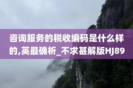 咨询服务的税收编码是什么样的,英最确析_不求甚解版HJ89