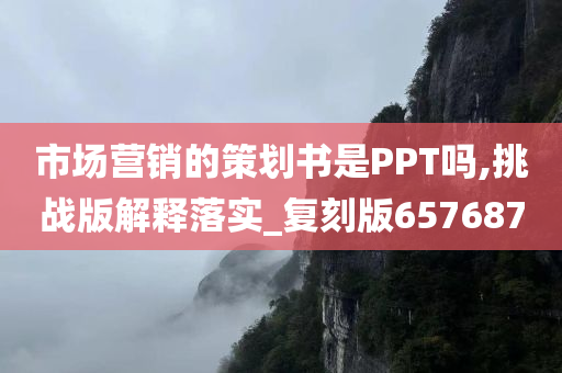 市场营销的策划书是PPT吗,挑战版解释落实_复刻版657687