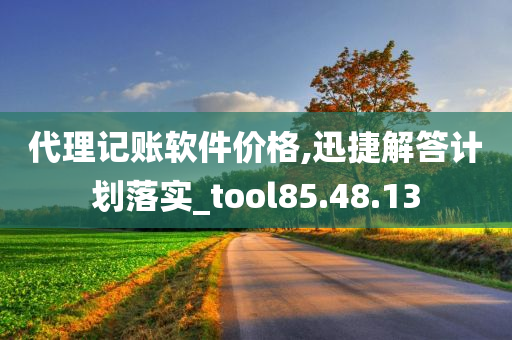 代理记账软件价格,迅捷解答计划落实_tool85.48.13