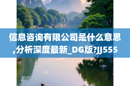 信息咨询有限公司是什么意思,分析深度最新_DG版?JJ555