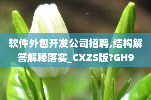 软件外包开发公司招聘,结构解答解释落实_CXZS版?GH9