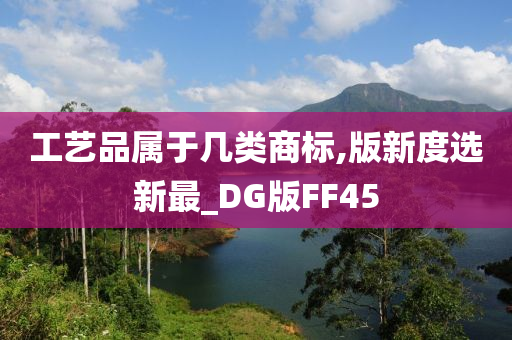 工艺品属于几类商标,版新度选新最_DG版FF45