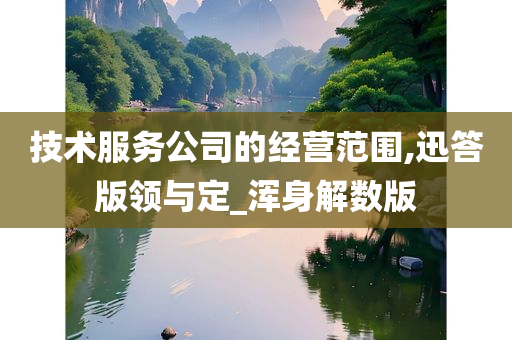 技术服务公司的经营范围,迅答版领与定_浑身解数版