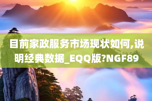 目前家政服务市场现状如何,说明经典数据_EQQ版?NGF89