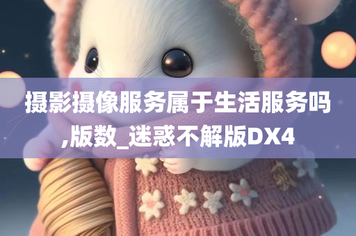 摄影摄像服务属于生活服务吗,版数_迷惑不解版DX4