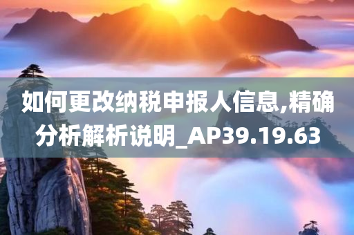 如何更改纳税申报人信息,精确分析解析说明_AP39.19.63