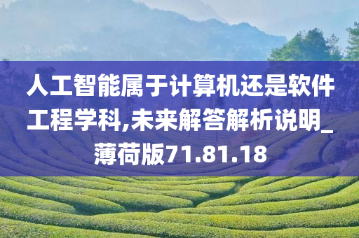 人工智能属于计算机还是软件工程学科,未来解答解析说明_薄荷版71.81.18