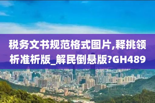 税务文书规范格式图片,释挑领析准析版_解民倒悬版?GH489