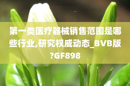 第一类医疗器械销售范围是哪些行业,研究权威动态_BVB版?GF898