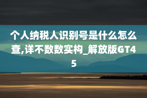 个人纳税人识别号是什么怎么查,详不数数实构_解放版GT45