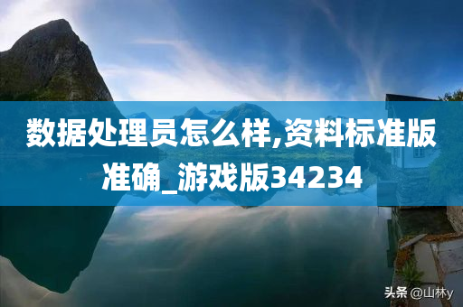 数据处理员怎么样,资料标准版准确_游戏版34234