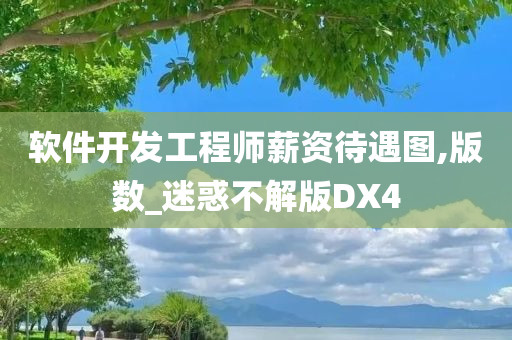 软件开发工程师薪资待遇图,版数_迷惑不解版DX4