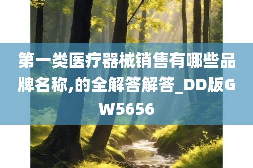 第一类医疗器械销售有哪些品牌名称,的全解答解答_DD版GW5656