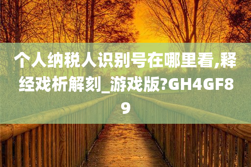 个人纳税人识别号在哪里看,释经戏析解刻_游戏版?GH4GF89