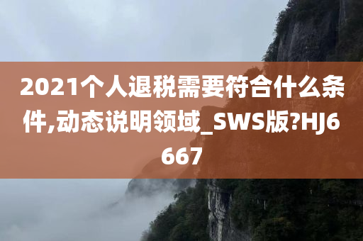 2021个人退税需要符合什么条件,动态说明领域_SWS版?HJ6667