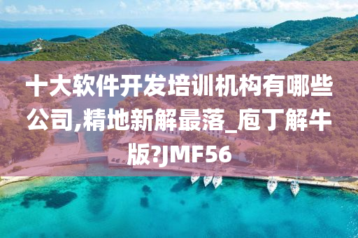 十大软件开发培训机构有哪些公司,精地新解最落_庖丁解牛版?JMF56