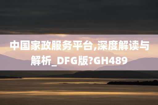 中国家政服务平台,深度解读与解析_DFG版?GH489