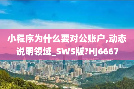 小程序为什么要对公账户,动态说明领域_SWS版?HJ6667