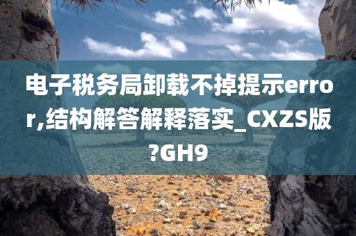 电子税务局卸载不掉提示error,结构解答解释落实_CXZS版?GH9