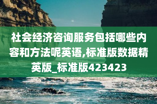 社会经济咨询服务包括哪些内容和方法呢英语,标准版数据精英版_标准版423423