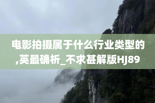 电影拍摄属于什么行业类型的,英最确析_不求甚解版HJ89