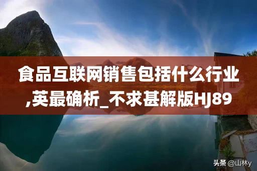 食品互联网销售包括什么行业,英最确析_不求甚解版HJ89