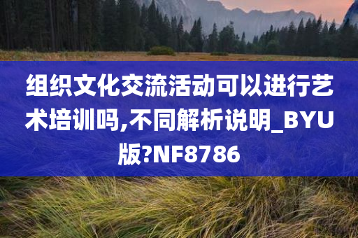 组织文化交流活动可以进行艺术培训吗,不同解析说明_BYU版?NF8786