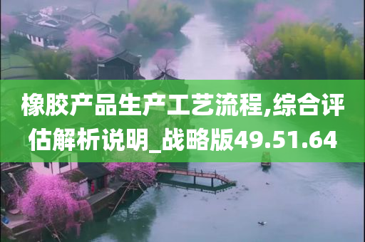 橡胶产品生产工艺流程,综合评估解析说明_战略版49.51.64