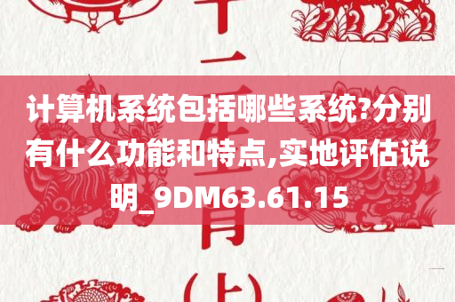 计算机系统包括哪些系统?分别有什么功能和特点,实地评估说明_9DM63.61.15