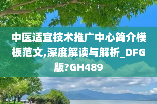 中医适宜技术推广中心简介模板范文,深度解读与解析_DFG版?GH489